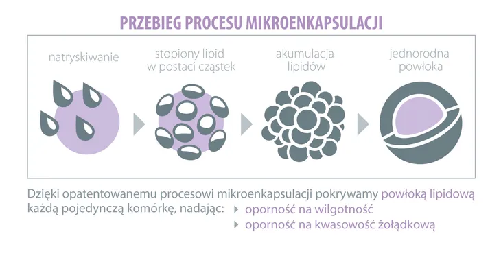 probiobalance-bifidobacterium-forte-60kaps-podstawowy-skladnik-probiotyki
