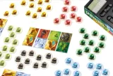 gra-dragomino-rebel-minimalna-liczba-graczy-2