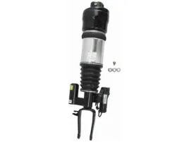 amortyzator-pneumatyczny-arnott-as-2295