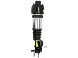 amortyzator-pneumatyczny-arnott-as-2245