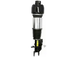 amortyzator-pneumatyczny-arnott-as-2246