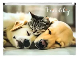 koperta-a4-pp-z-nadrukiem-zip-friendship