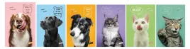 zeszyt-a4-40k-kratka-pets-pupile-mar-mar