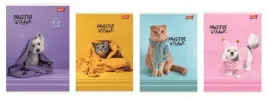 zeszyt-a5-32k-linia-podwojna-dwukolorowa-pawsitive-vibes-majewski