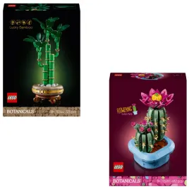 lego-botanicals-10344-dracena-sandera-11509-kwitnacy-kaktus-na-prezent