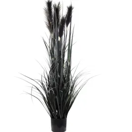 wysoka-trawa-pampasowa-roslina-dekoracyjna-w-doniczce-czarna-123cm-duza-xxl