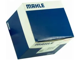 czujnik-temperatury-wody-mahle-tse-14