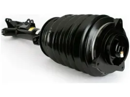 amortyzator-pneumatyczny-arnott-as-3897
