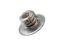 termostat-claas-john-deere-landini-massey-ferguson-renault-steyr