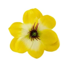 dalia-wyrobowa-g333-zolta-12-szt