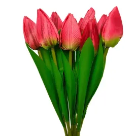 tulipan-pojedynczy-czerwony-wiazka-12-szt