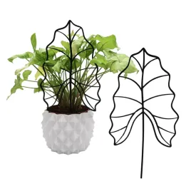 podporka-do-roslin-lisc-alocasia