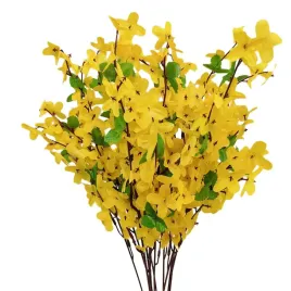forsycja-pojedyncza-12-szt-j004