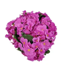 bukieciki-prymulka-biskupie-8-szt