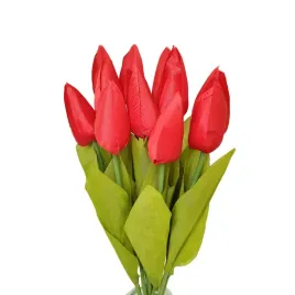 tulipan-pojedynczy-m701-czerwony-12-szt