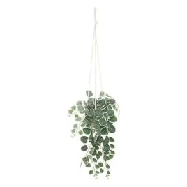 wiszaca-roslina-30-cm-z-plastikowa-doniczka