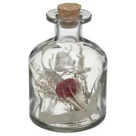 butelka-z-suszonymi-kwiatami-8x11-cm-czerwony-kwiat