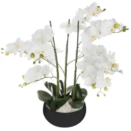 sztuczna-orchidea-z-czarna-doniczka-65cm