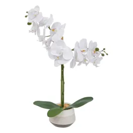 orchidea-clera-z-ceramiczna-doniczka