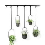 kwietnik-triflora-black-5