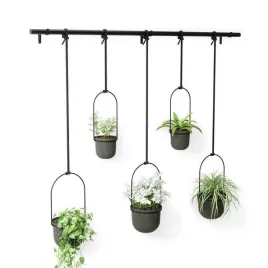 kwietnik-triflora-black-5