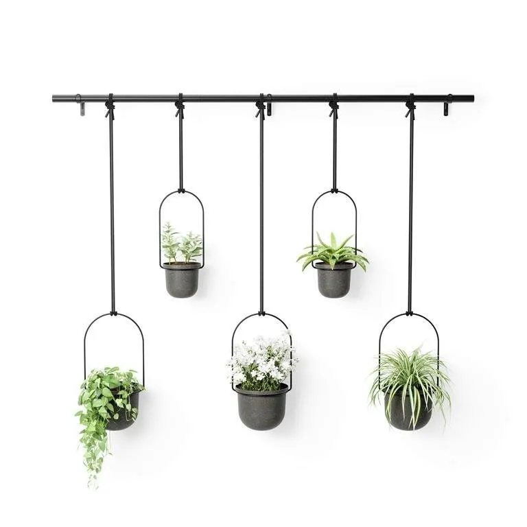kwietnik-triflora-black-5
