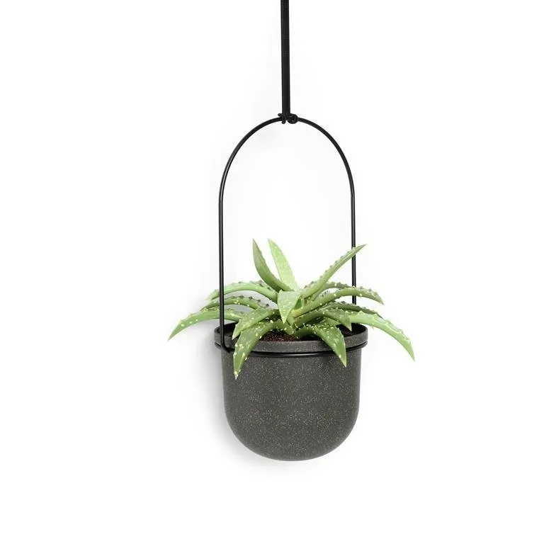 kwietnik-triflora-black-5