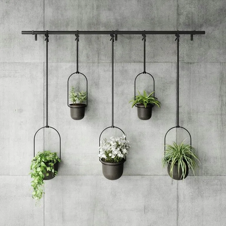 kwietnik-triflora-black-5-stan-nowy