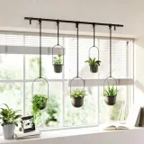 kwietnik-triflora-black-5-stan-nowy-wysokosc-produktu-94-cm