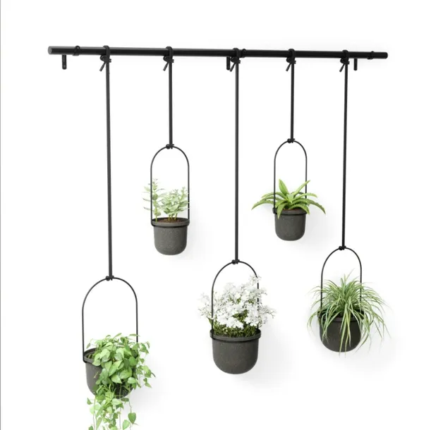 kwietnik-triflora-black-5-stan-nowy-kolor-czarny