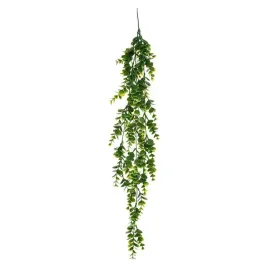 szyuczna-roslina-wiszaca-zielona-peperomia-75-cm