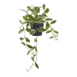 sztuczna-roslina-hoya-255x33-cm-z-tworzywa-realistyczna