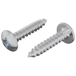 gwozdzie-samowiercace-z-okragla-glowka-ocynkowane-4-x-20-mm-2-szt