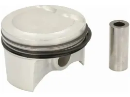 tlok-mahle-040-25-00
