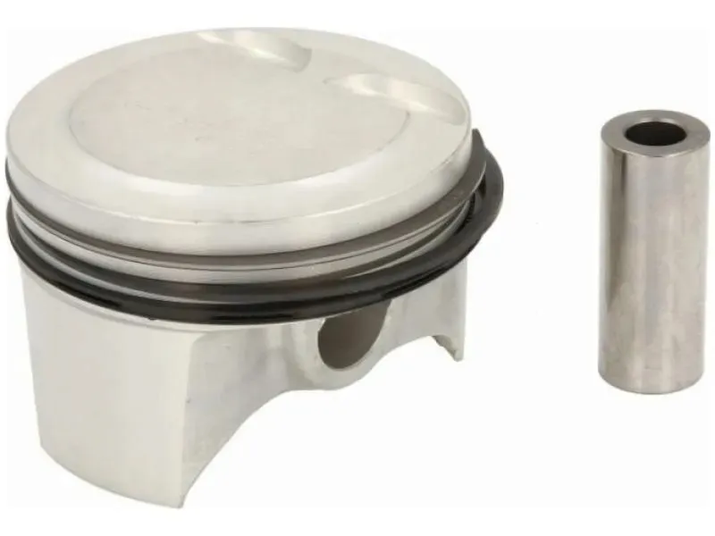 tlok-mahle-040-25-00
