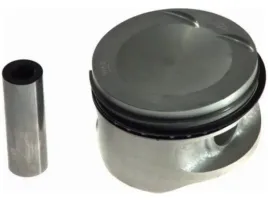 tlok-mahle-011-73-00