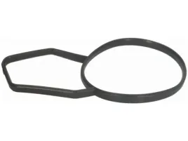 uszczelka-termostatu-bmw-z4-e85-x5-e53-x3-e83