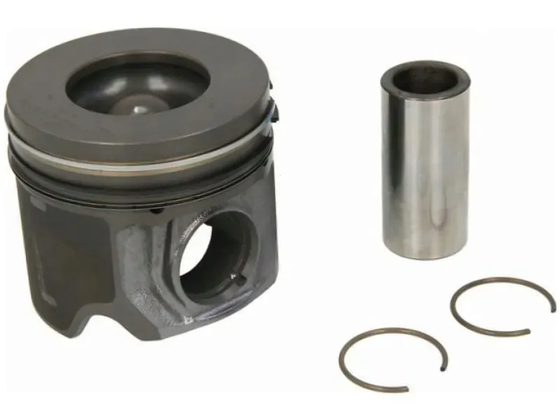 tlok-nural-87-148107-40