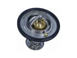 termostat-renault-master-ii-3-0-master-ii-3-0