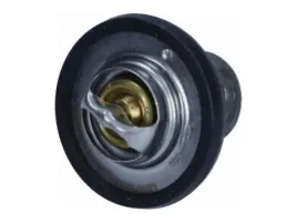 termostat-peugeot-boxer-2-2-citroen-jumper-ii-2-2-fiat-ducato-2-2