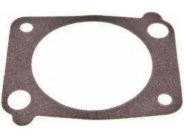uszczelka-kolektora-ajusa-01146600