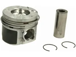 tlok-mahle-012-31-00