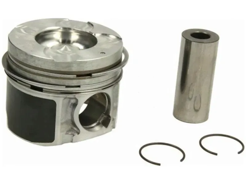 tlok-mahle-012-31-00