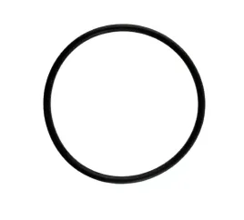 o-ring-47mm-x-2-5mm-tr690-tr580-jf404e