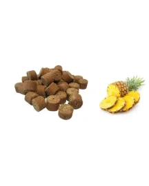 wne-pellet-ananas-z-dziurka-16mm