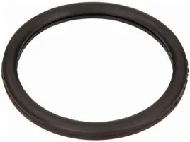 uszczelka-termostatu-renault-megane-iii-i-ii-rapid-clio-i-ii-iii-19-ii-i