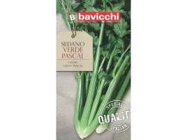 seler-verde-pascal-bogaty-w-witaminy-nasiona-bavicchi