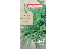 rukola-selvatica-pikantny-smak-nasiona-bavicchi