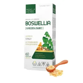 boswellia-kadzidlowiec-60-kapsulek-350-mg-medica-herbs
