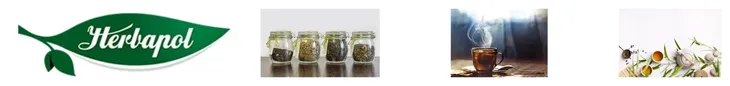 inulina-180g-radix-kod-producenta-ugut